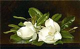Martin Johnson Heade Magnolias on a Wooden Table painting